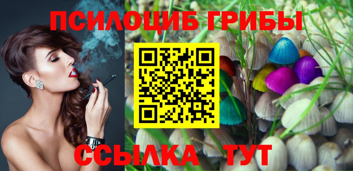 Галлюциногенные грибы Psilocybe  Вход с VPN  Тулун 